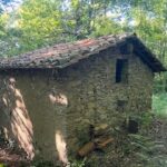 人生の幸福度〜良い人間関係