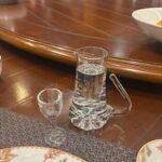 初めてのバイチュー