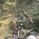 胸毛じゃないよ、パンダだよ