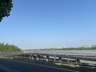 51歳のリアル